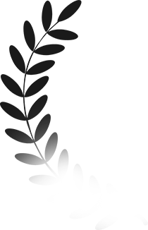 faqs1-illus-1